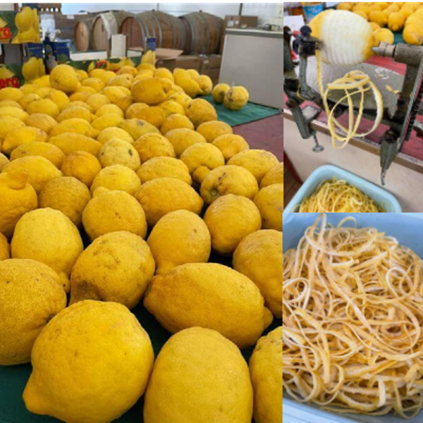 Likeris LIMONCELLO - Image 2